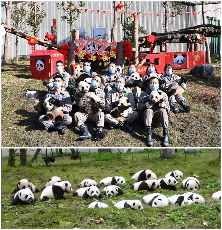 底图