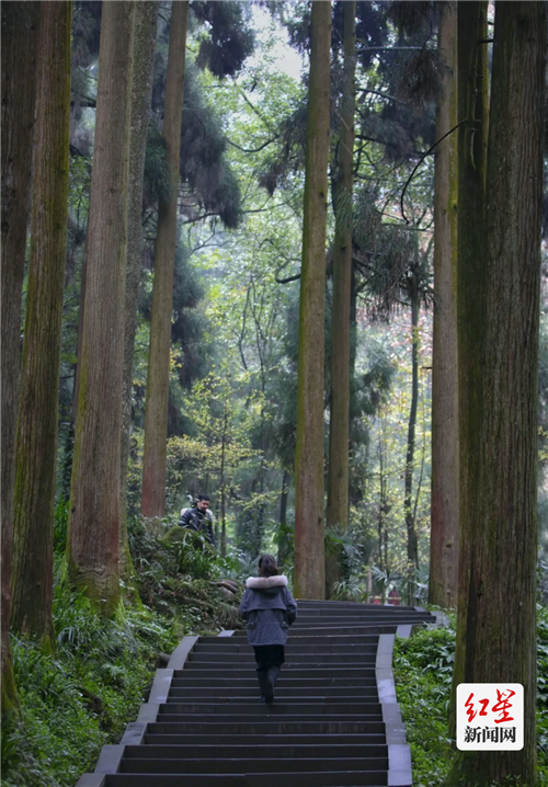青城山景区 (2)