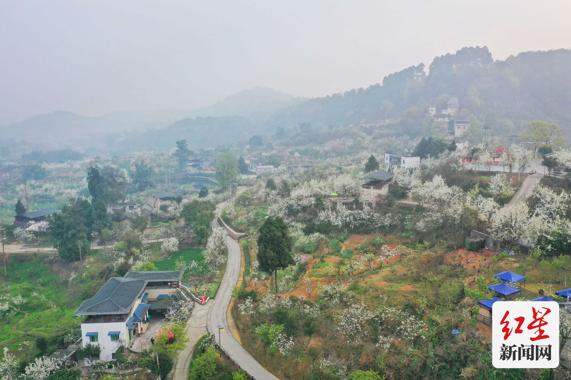 DJI_0154-01
