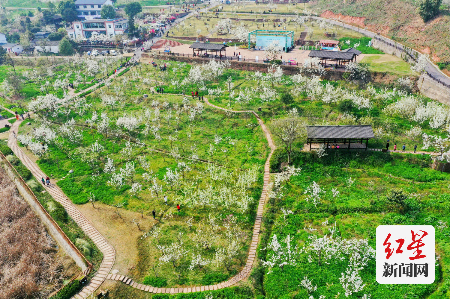 DJI_0276-01_meitu_1