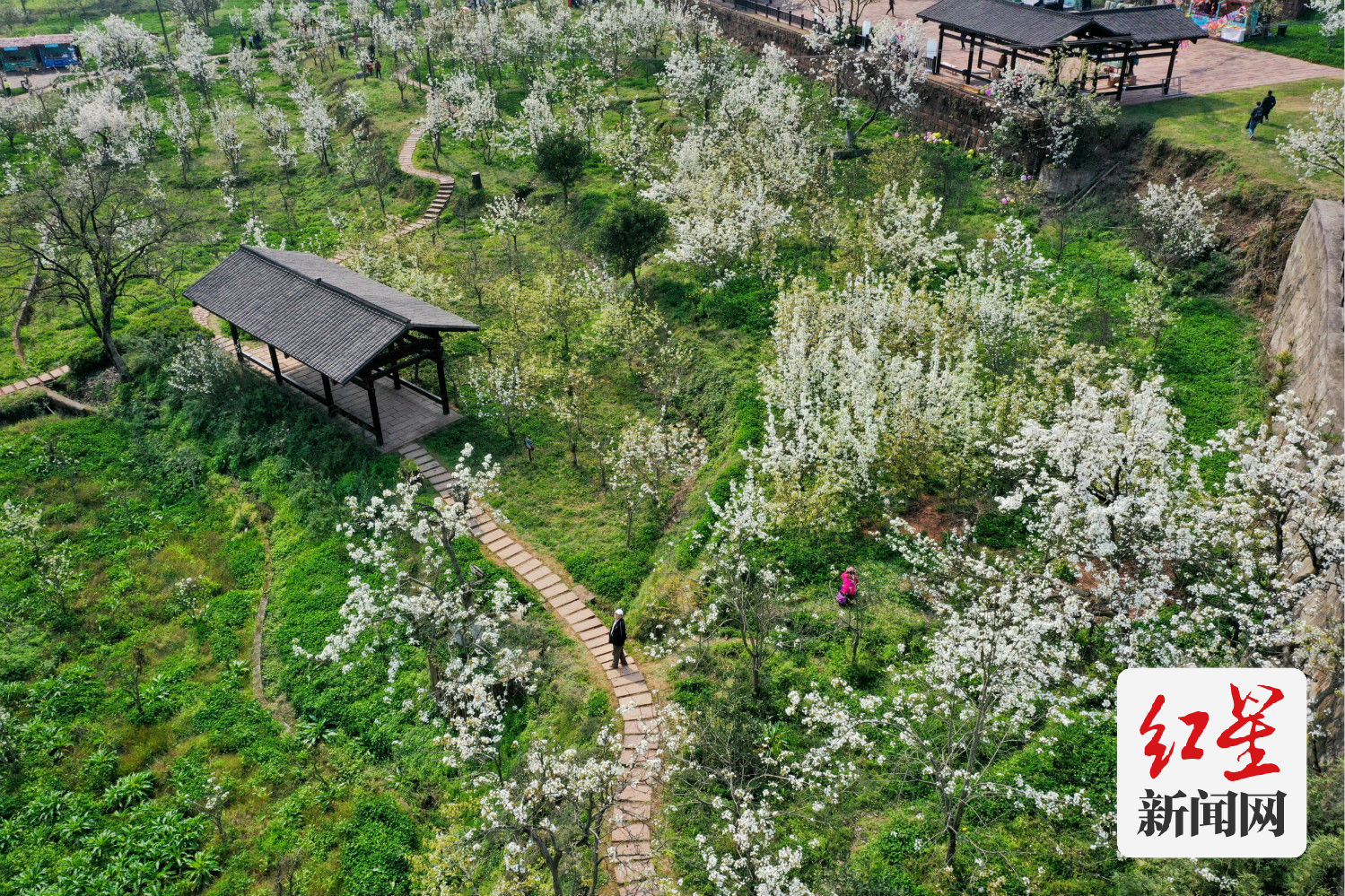 DJI_0256-01_meitu_2