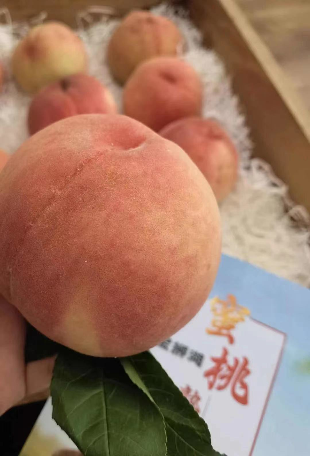 图片3