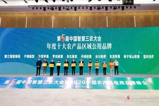 图片4