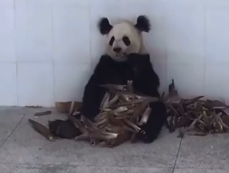 QQ截图20210819151812