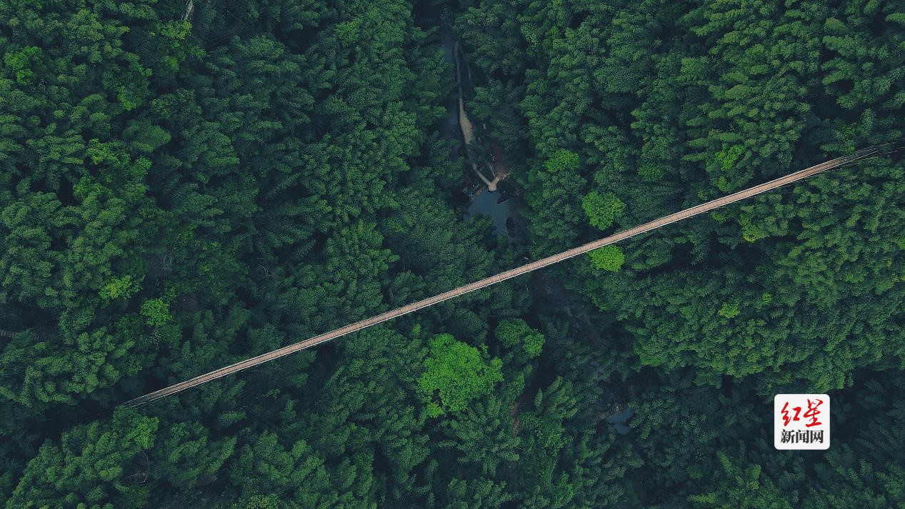 10_副本