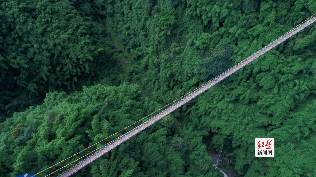 mmexportf0b74874972b46503c84c1e6a5f87203_1634304881583_副本