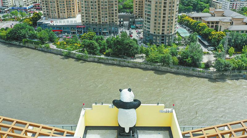 公共艺术促城市文化成长 大熊猫雕塑的“朋友圈”越做越大(图2) 大熊猫站在汶川县城的一栋大楼上看风景。
