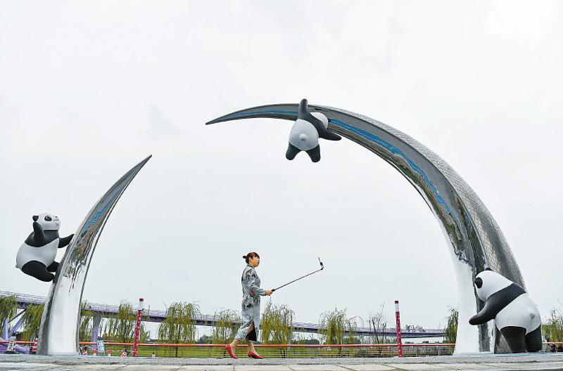 公共艺术促城市文化成长 大熊猫雕塑的“朋友圈”越做越大(图6) 市民在成都市武侯区江安河边的大熊猫雕塑前自拍。