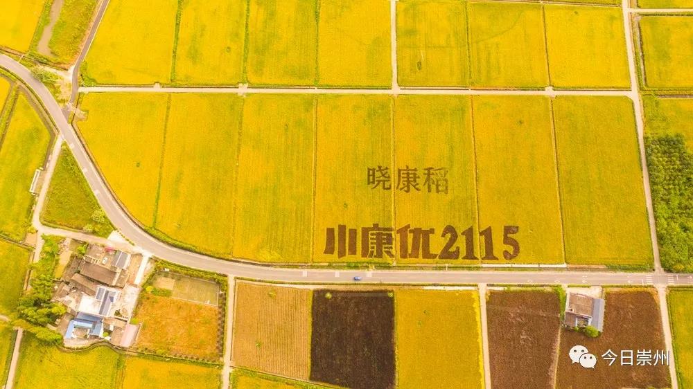 微信图片_20211030110052