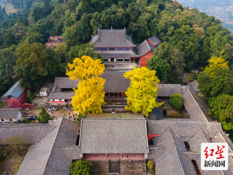 微信图片_20211031010246