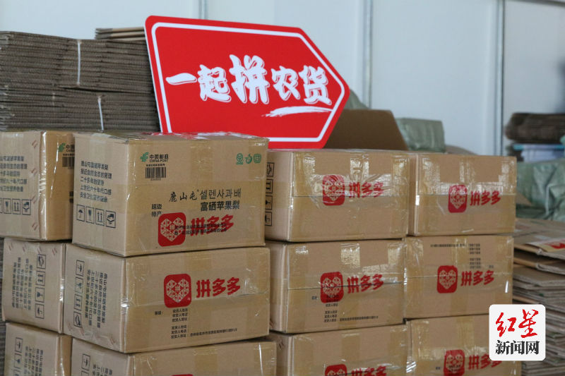 图五：随着龙井苹果梨在新电商平台的走俏，也让更多的人了解了延边的历史和文化。 沈晓凯｜摄