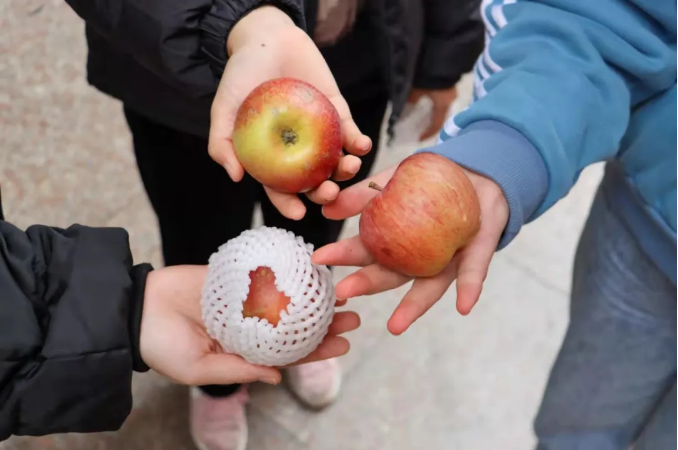 别人家的学校！这所大学免费给全校师生送“苹”安(图5)