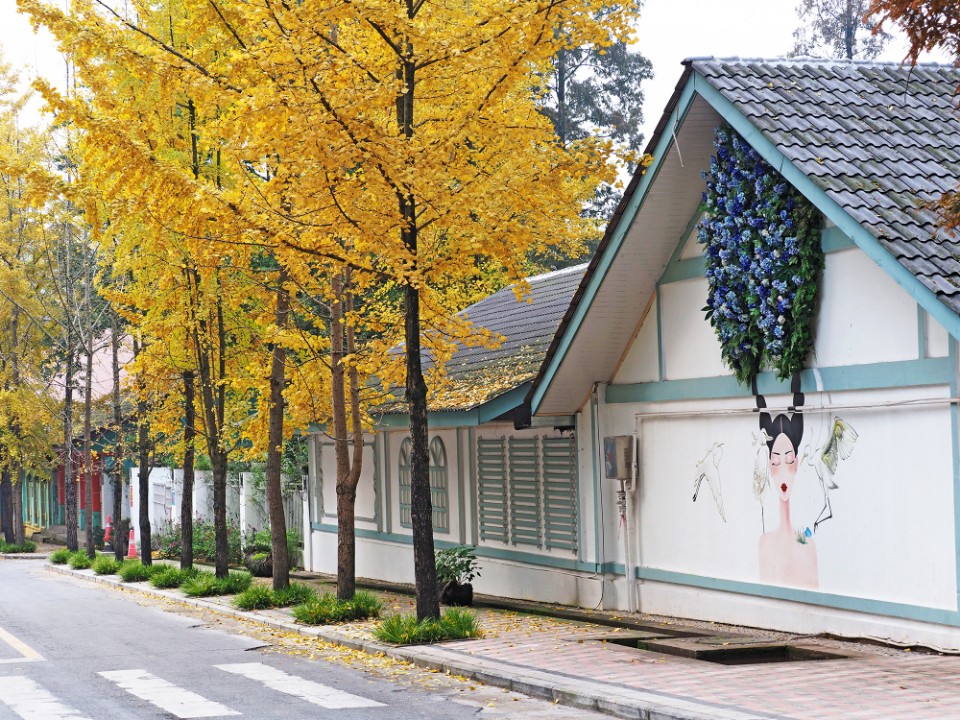 白云乡街景_