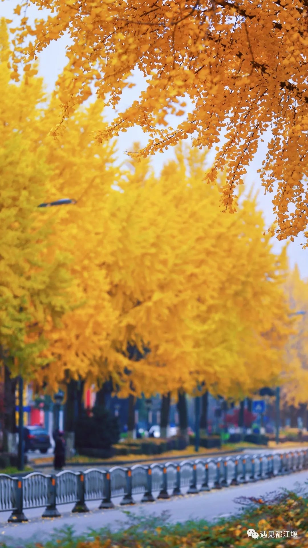 640.webp (13)