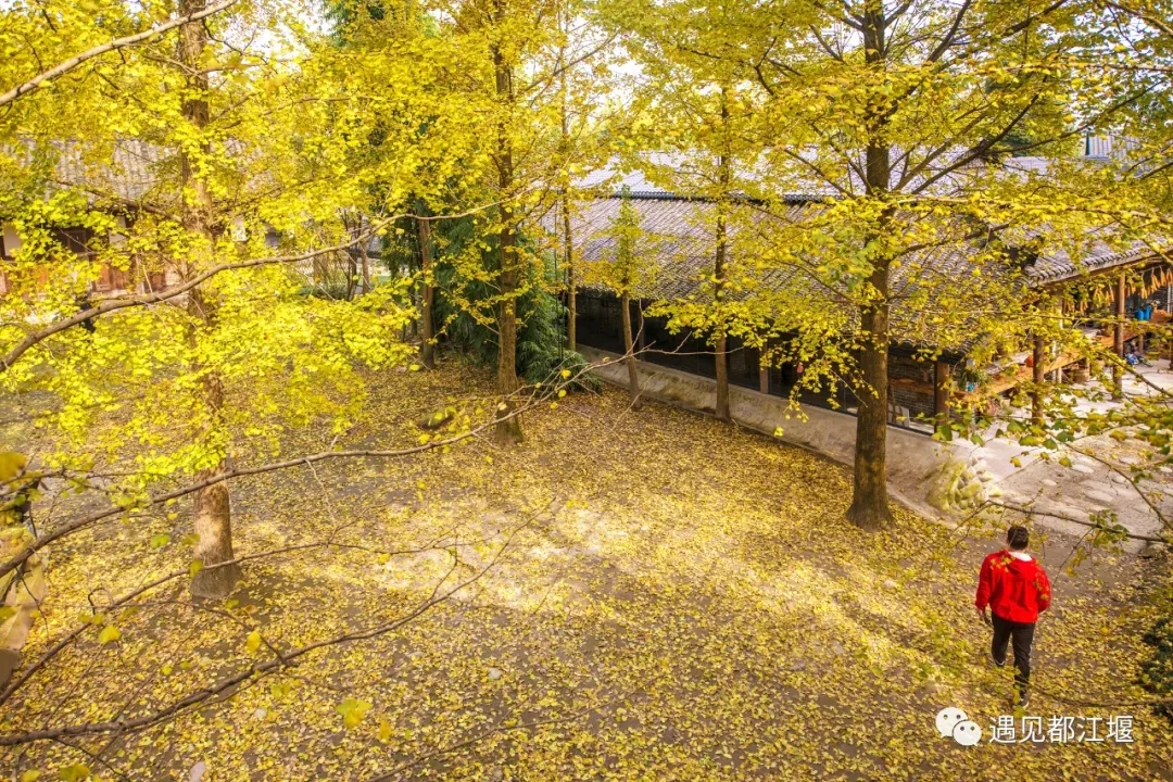 摄影 | 马川江