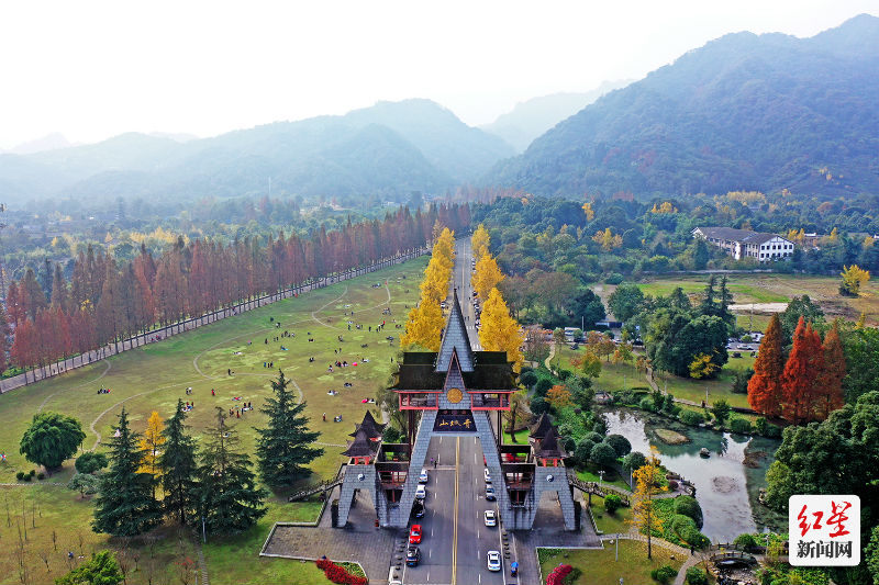 DJI_0336