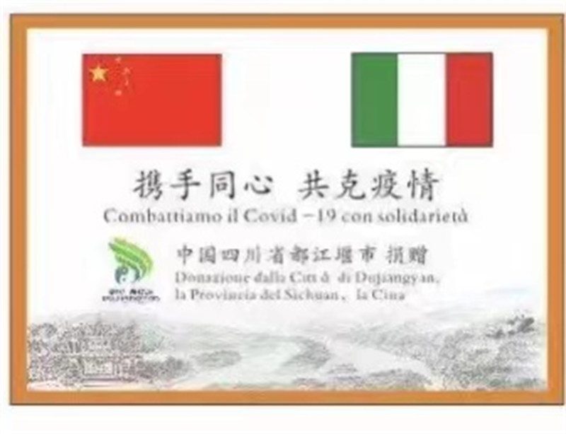 图片11