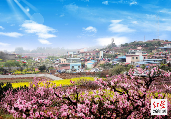 凉水村是远近闻名的桃花观赏胜地
