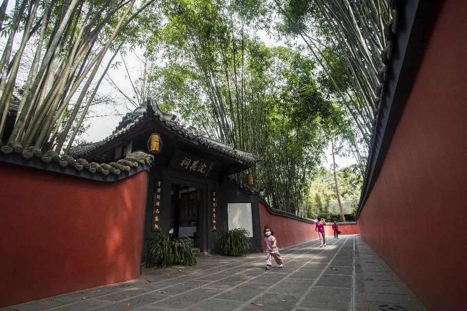 图片7
