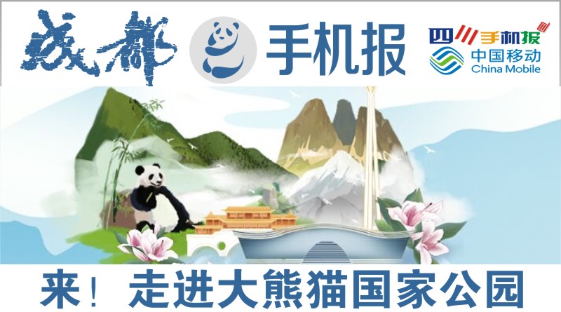 yidong