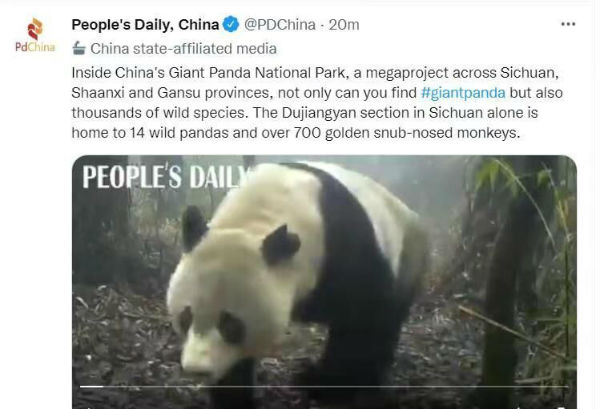 QQ图片20211224231916