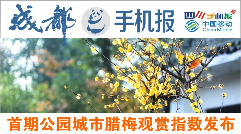 yidong