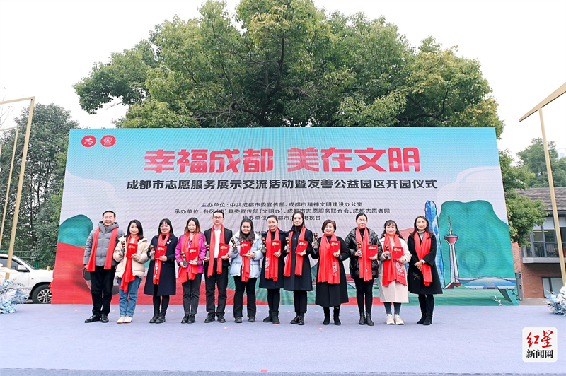 图片6
