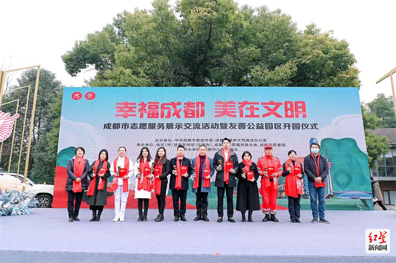 图片5