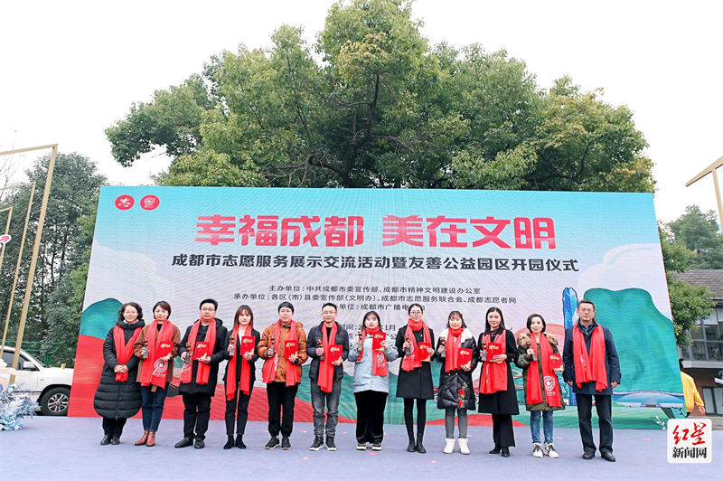 图片7