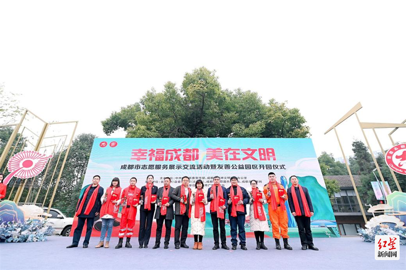 图片8