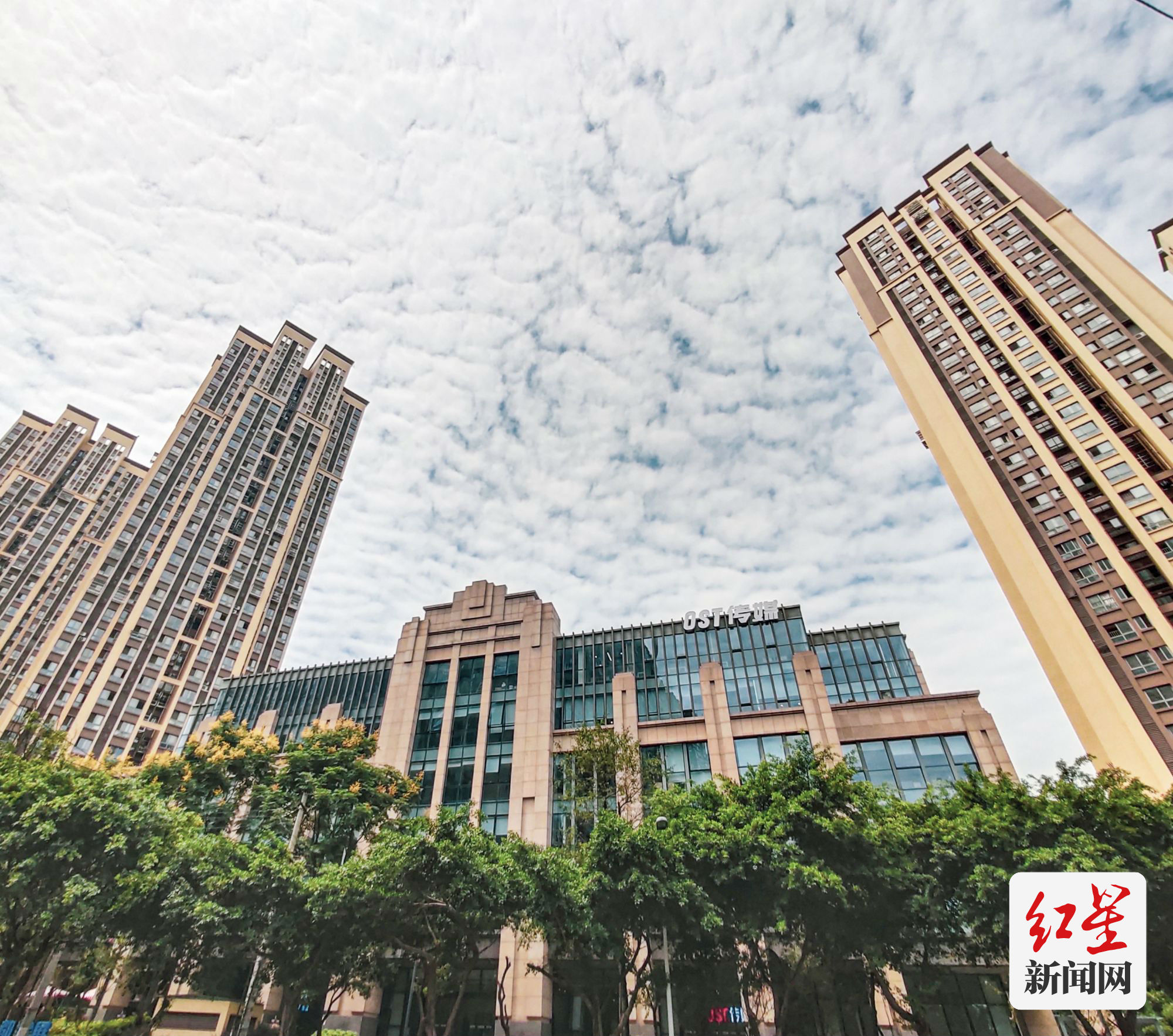 幸福回响|探索新职业 “钱袋子”增加了(图3) 0117_1