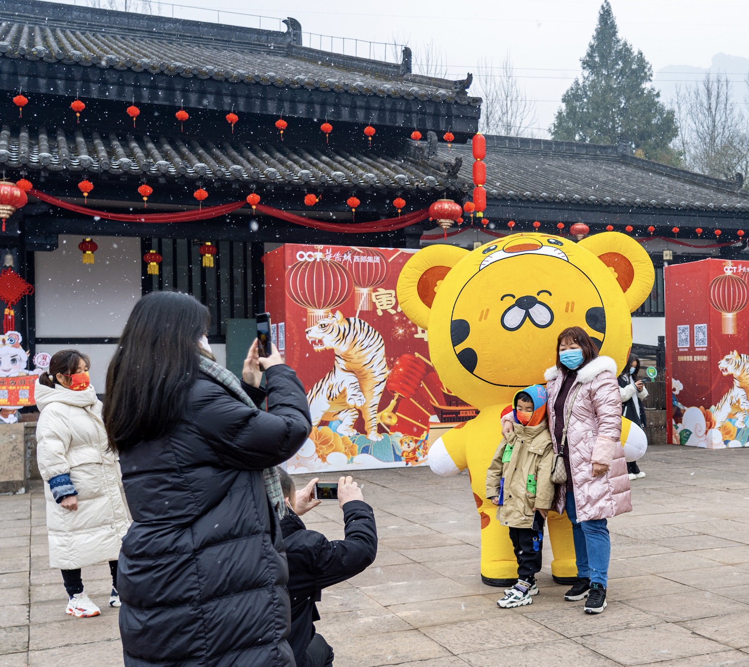 图片4