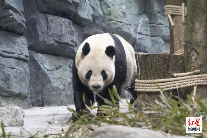图片7