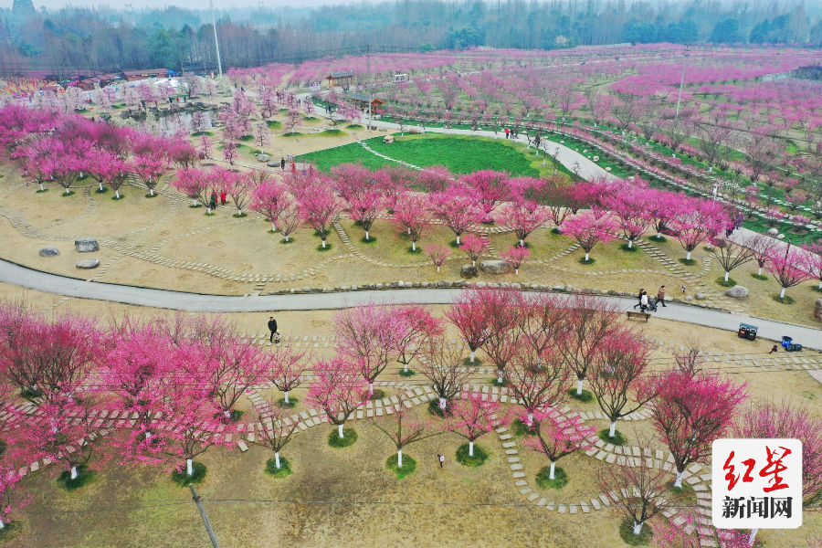 DJI_0156-01