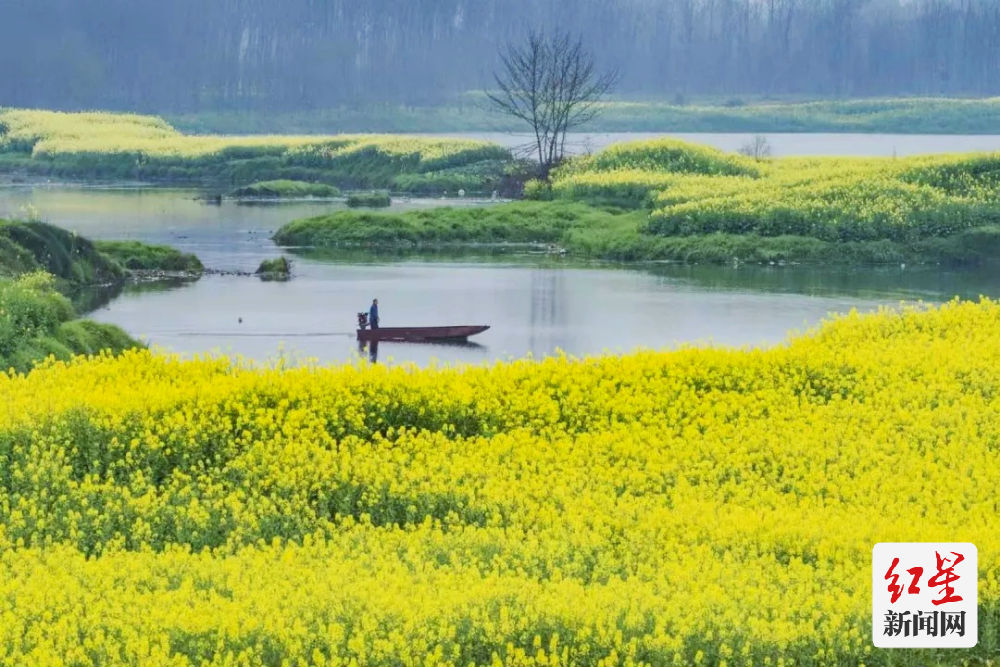 两河口