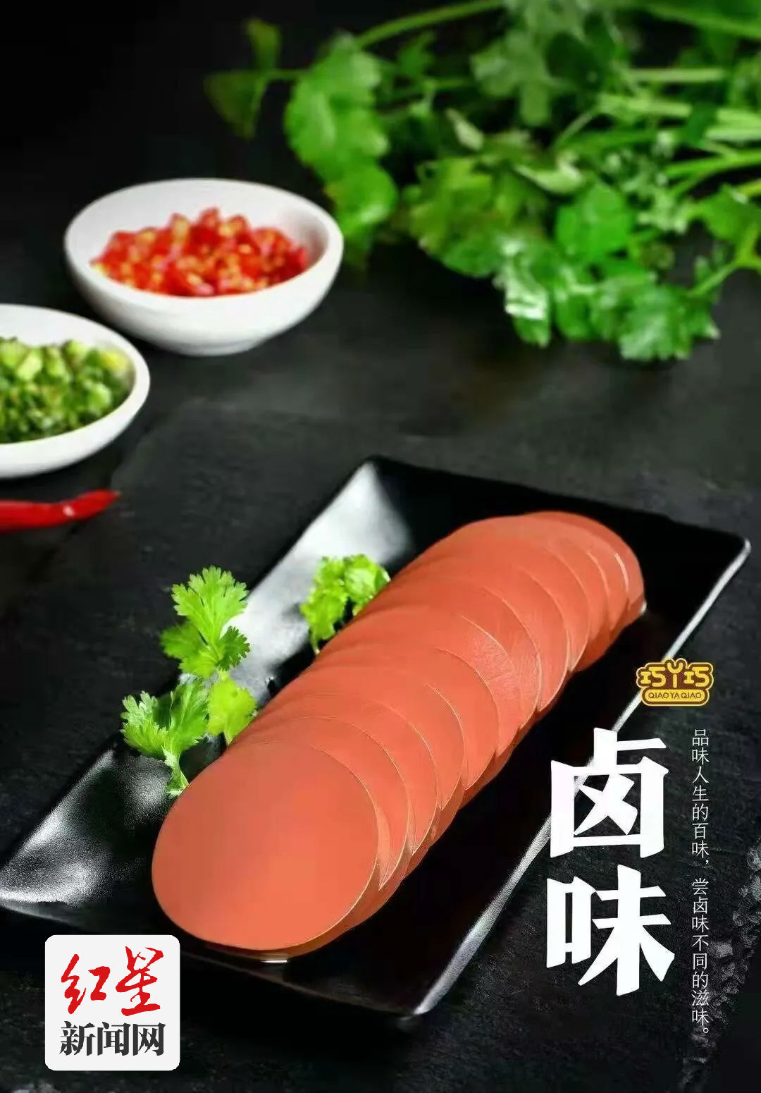 巧丫巧国际餐饮供应链食品加工项目