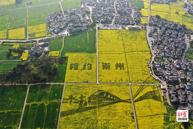 DJI_0245