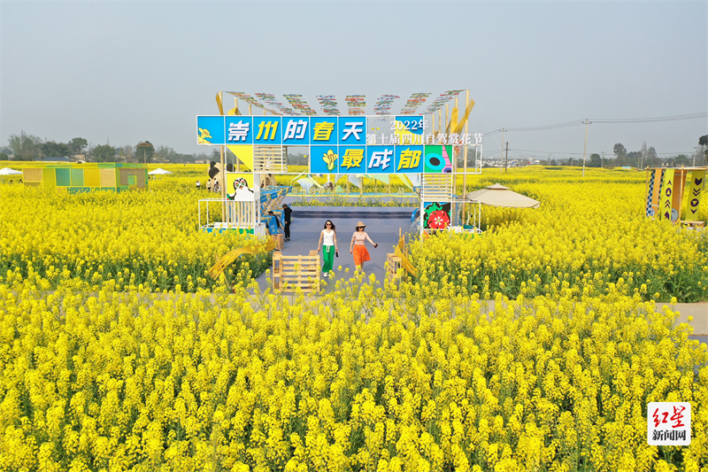 DJI_0721