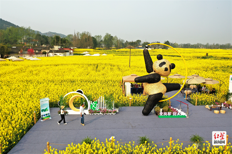 DJI_0734