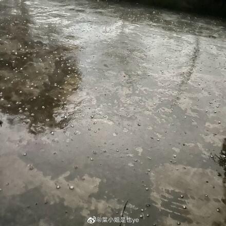 网友拍摄的蒲江冰雹图片2