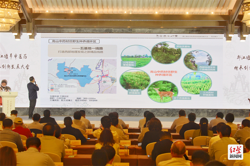 2022年都江堰市中医药产业项目推介