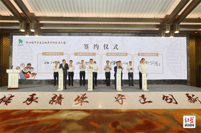 签约仪式现场