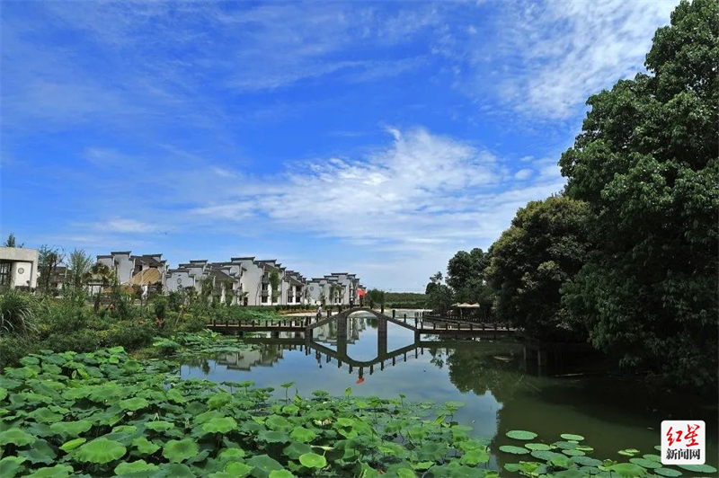 蒲江县铁牛村