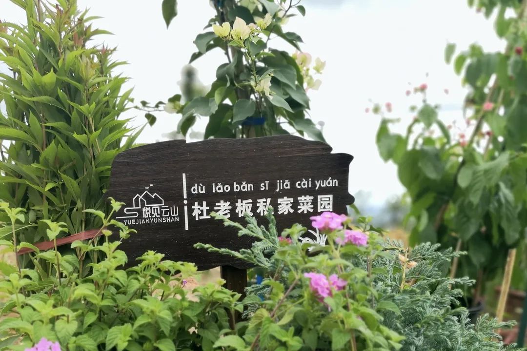 微信图片_20220324192430