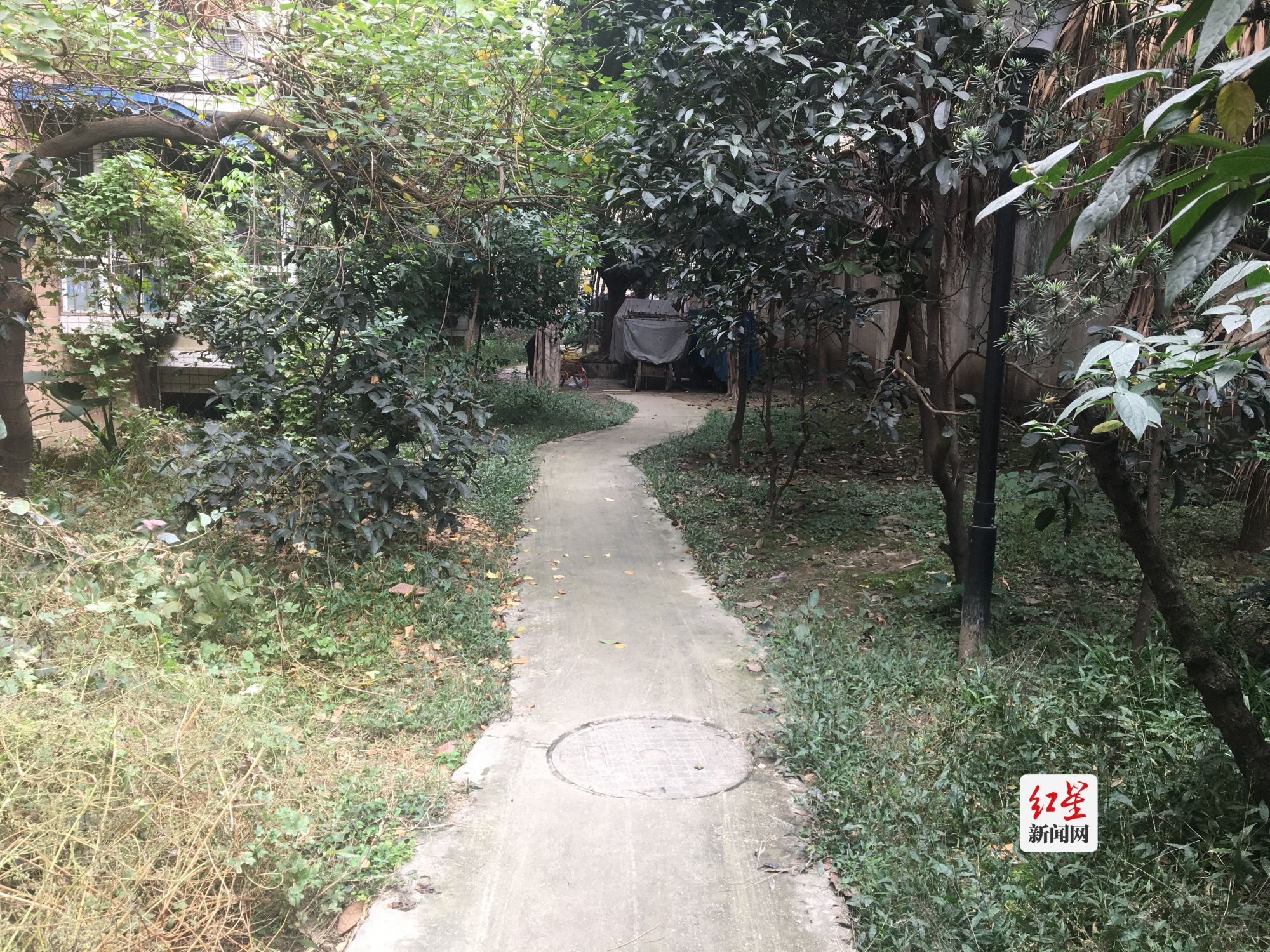 金桂园改造前_副本