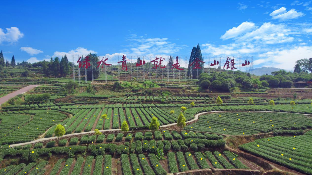 9邛崃黑茶公园建设项目