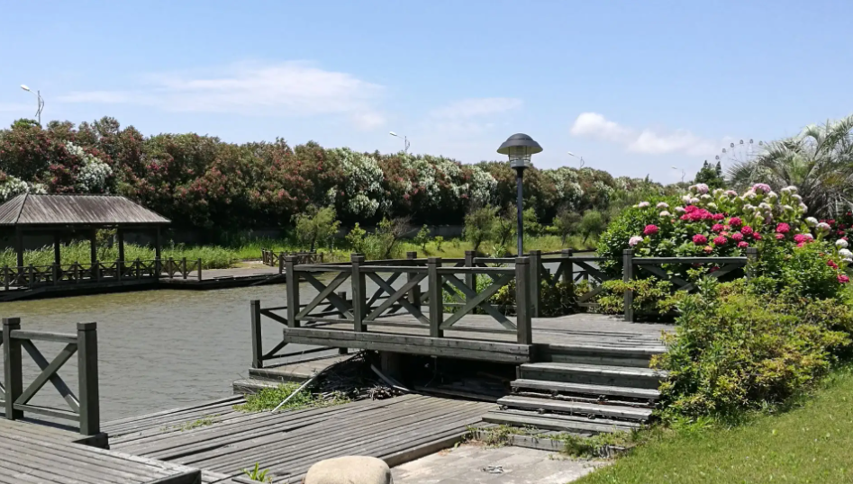 10金川茶旅融合精品项目