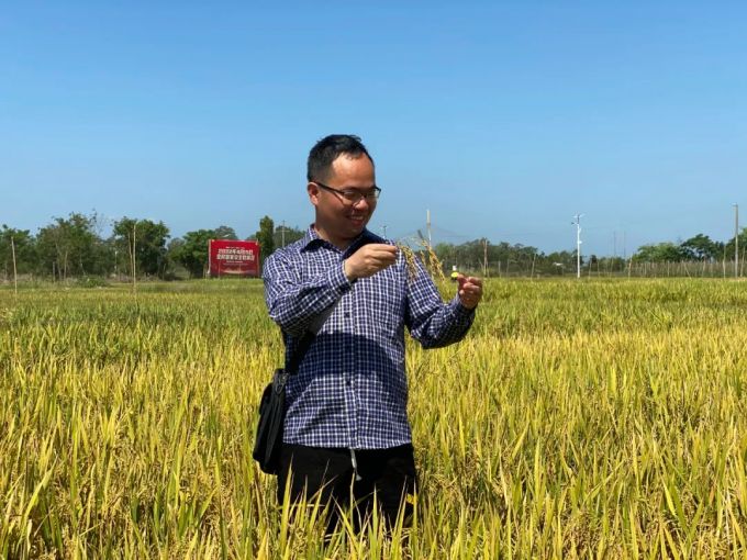 国际首次！中国青年科学家突破水稻低温减产难题！