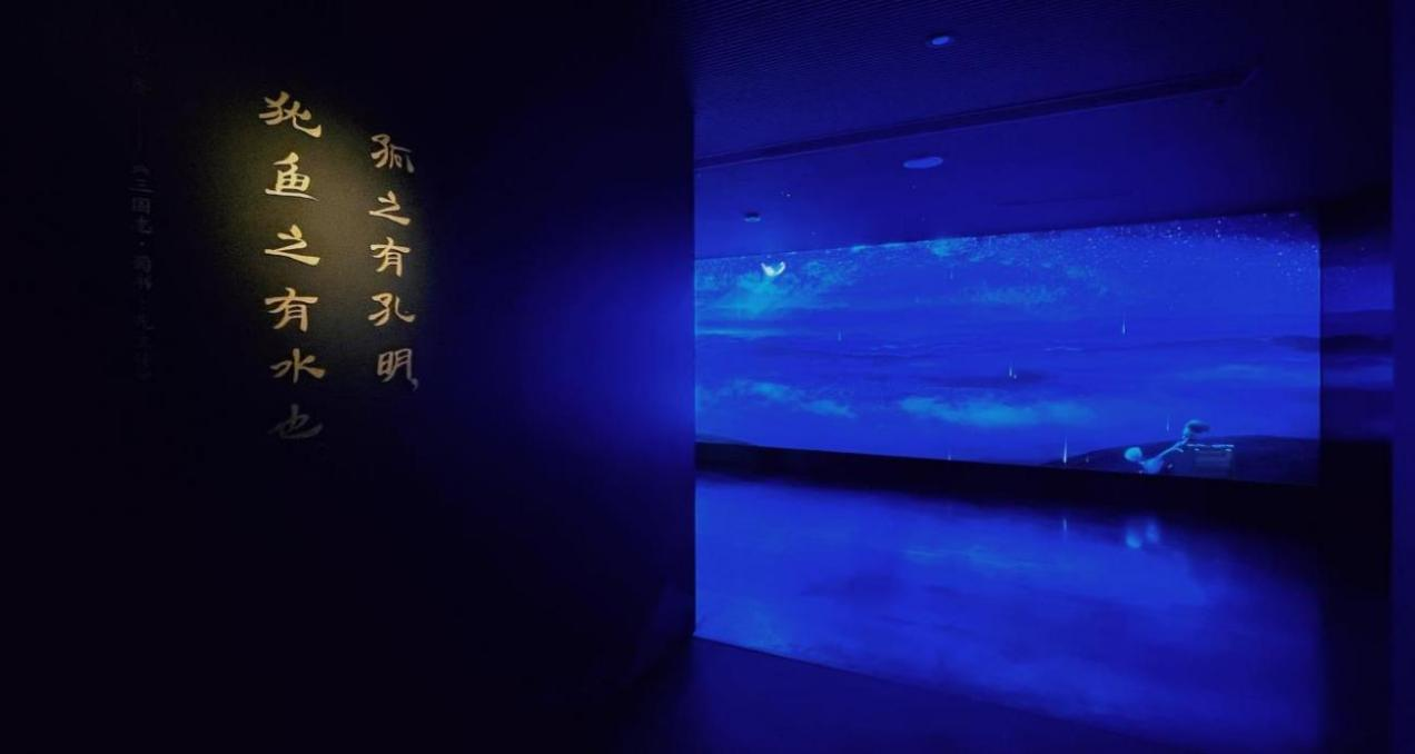 图片8