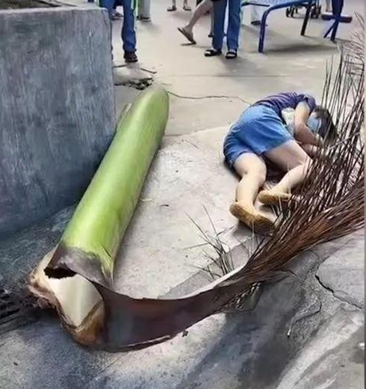 QQ截图20220628151754
